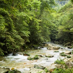江西井冈山