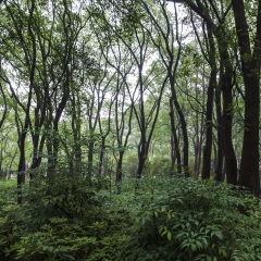 武汉大学