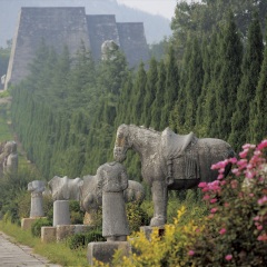 乾陵景区