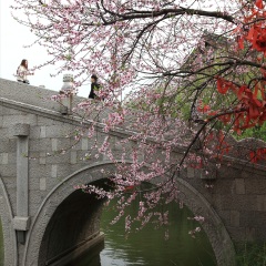 台儿庄古城