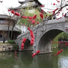 台儿庄古城
