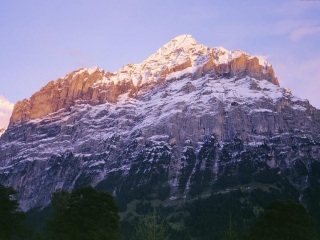 格林德尔瓦尔德