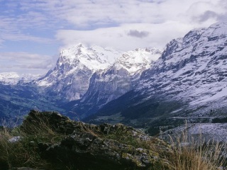 格林德尔瓦尔德
