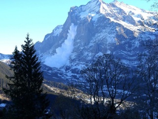 格林德尔瓦尔德