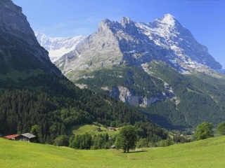 格林德尔瓦尔德