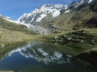 格林德尔瓦尔德