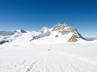 格林德尔瓦尔德