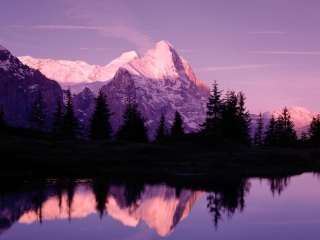 格林德尔瓦尔德