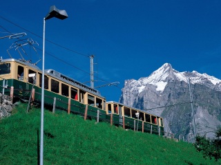 格林德尔瓦尔德