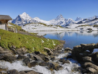 格林德尔瓦尔德
