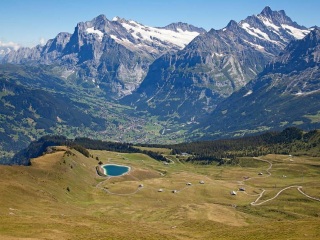 格林德尔瓦尔德