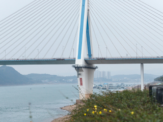 夷陵长江大桥