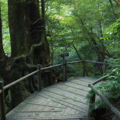 长白县塔山公园2