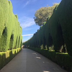 格纳拉里弗园的#旅图换旅费# #旅拍#