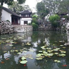 狮子林