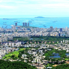 大东海
