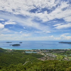 大东海