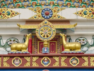 蓝毗尼