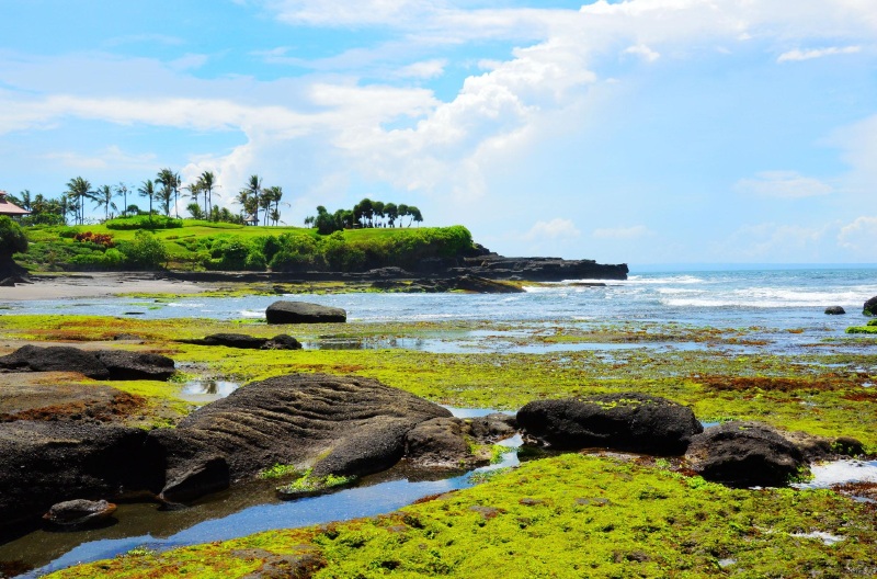 巴厘岛5晚6日游 城市快线QG直飞,全程近海酒
