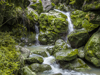 黄水
