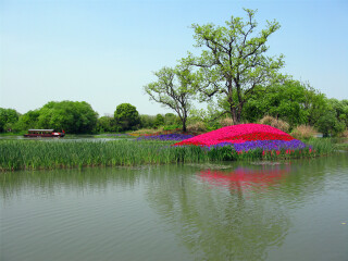 西溪湿地(东区)