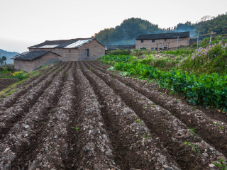 台州仙居神仙居