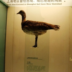 上海科技馆