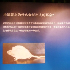 上海科技馆