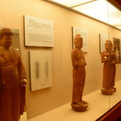 奈良国立博物馆的#旅图换旅费# #旅拍#