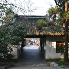 杭州玉皇山的#旅图换旅费#