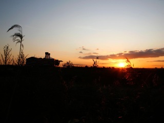 迪瓦地区艾克斯