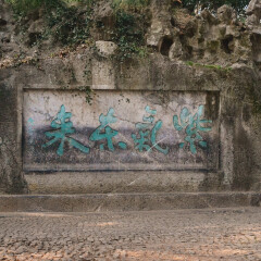 杭州玉皇山的#旅图换旅费#