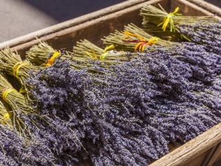 迪瓦地区艾克斯