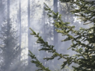 迪瓦地区艾克斯