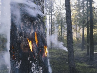 迪瓦地区艾克斯