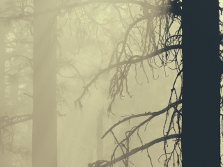 迪瓦地区艾克斯