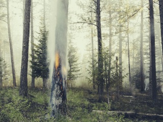 迪瓦地区艾克斯