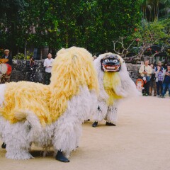 景点模块 