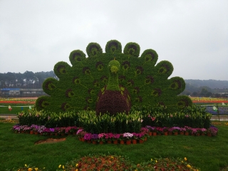 湖南省森林植物园