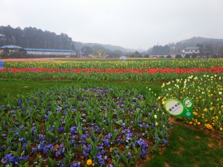 湖南省森林植物园