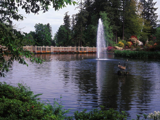 靖西鹅泉风景区
