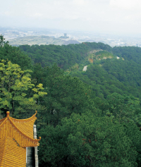 景点图片