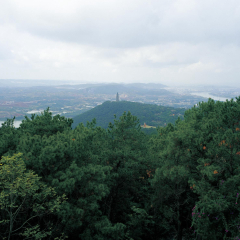 青秀山2