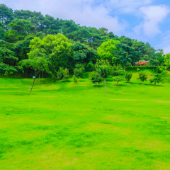 石门森林公园