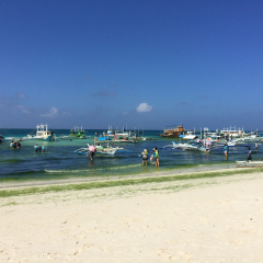 白沙滩步行道的#旅图换旅费# #海岛游#