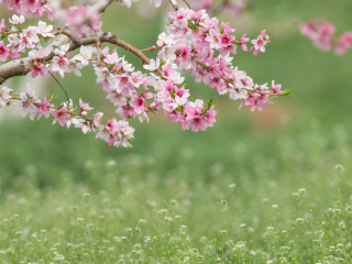 舟山桃花岛射雕影视城