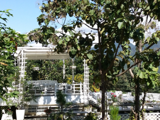 COFFEE IN LOVE咖啡屋