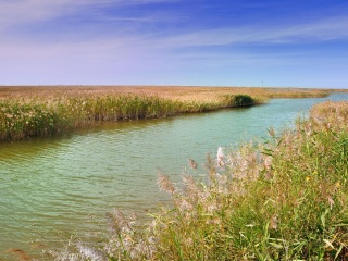 黄河口生态旅游区