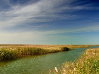 黄河口生态旅游区