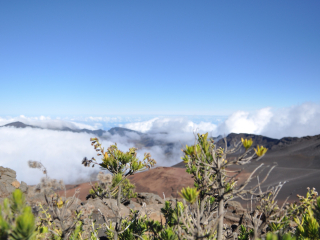 哈雷阿卡拉国家公园